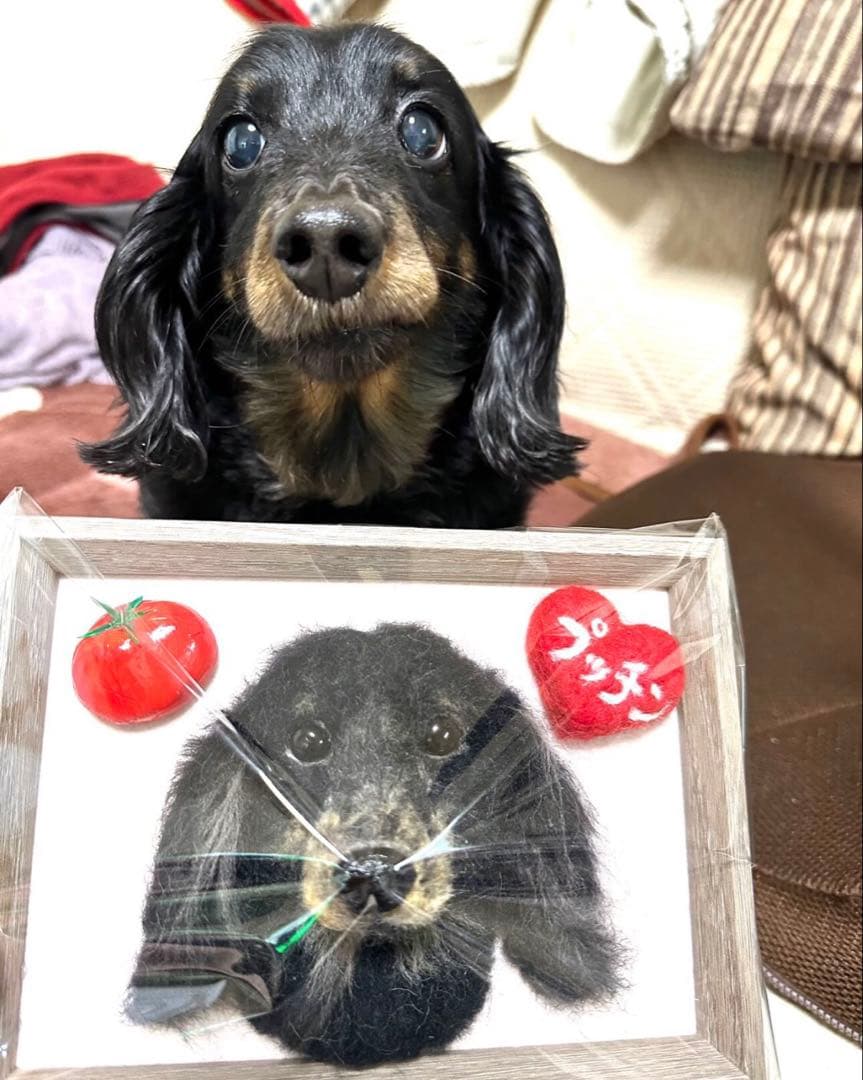 わんこ限定　わたわたペット　うちの子プレート　羊毛フェルト作品