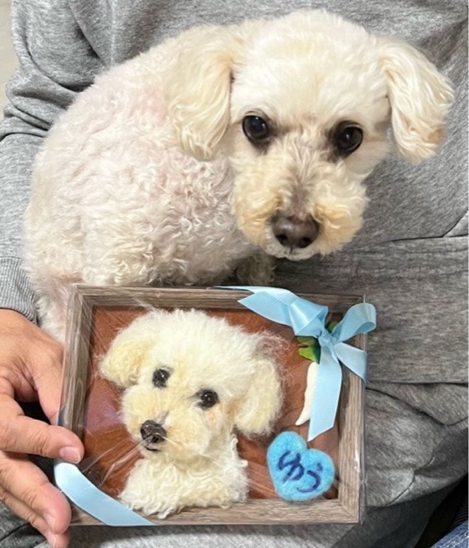 わんこ限定　わたわたペット　うちの子プレート　羊毛フェルト作品