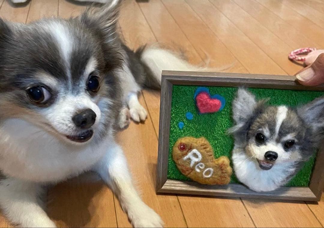 わんこ限定　わたわたペット　うちの子プレート　羊毛フェルト作品