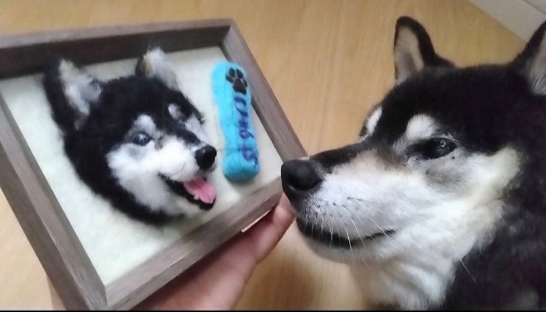 わんこ限定　わたわたペット　うちの子プレート　羊毛フェルト作品