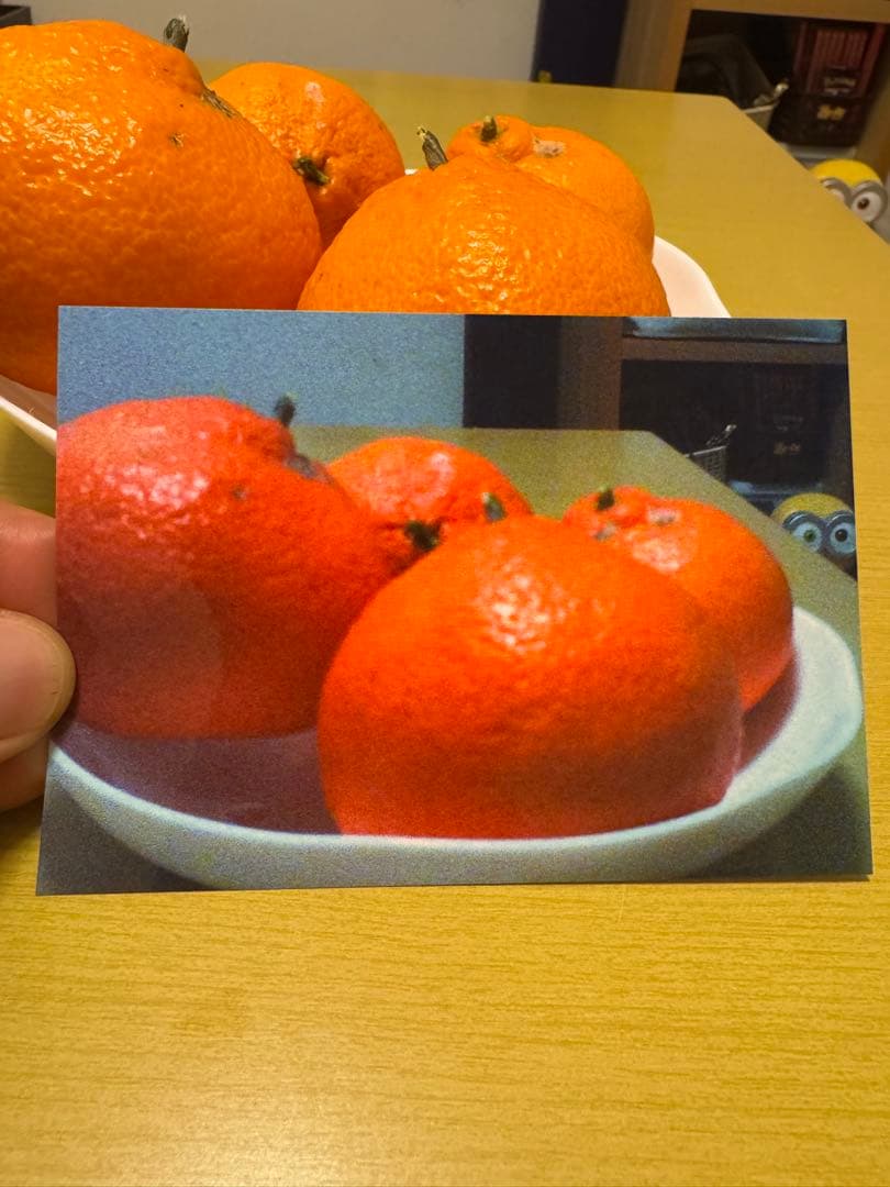 デジタルハリネズミ2