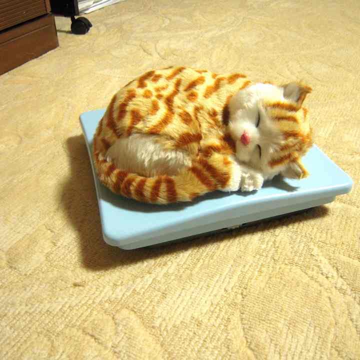 うさぎ毛フェルト　猫　　　ハンドメイド