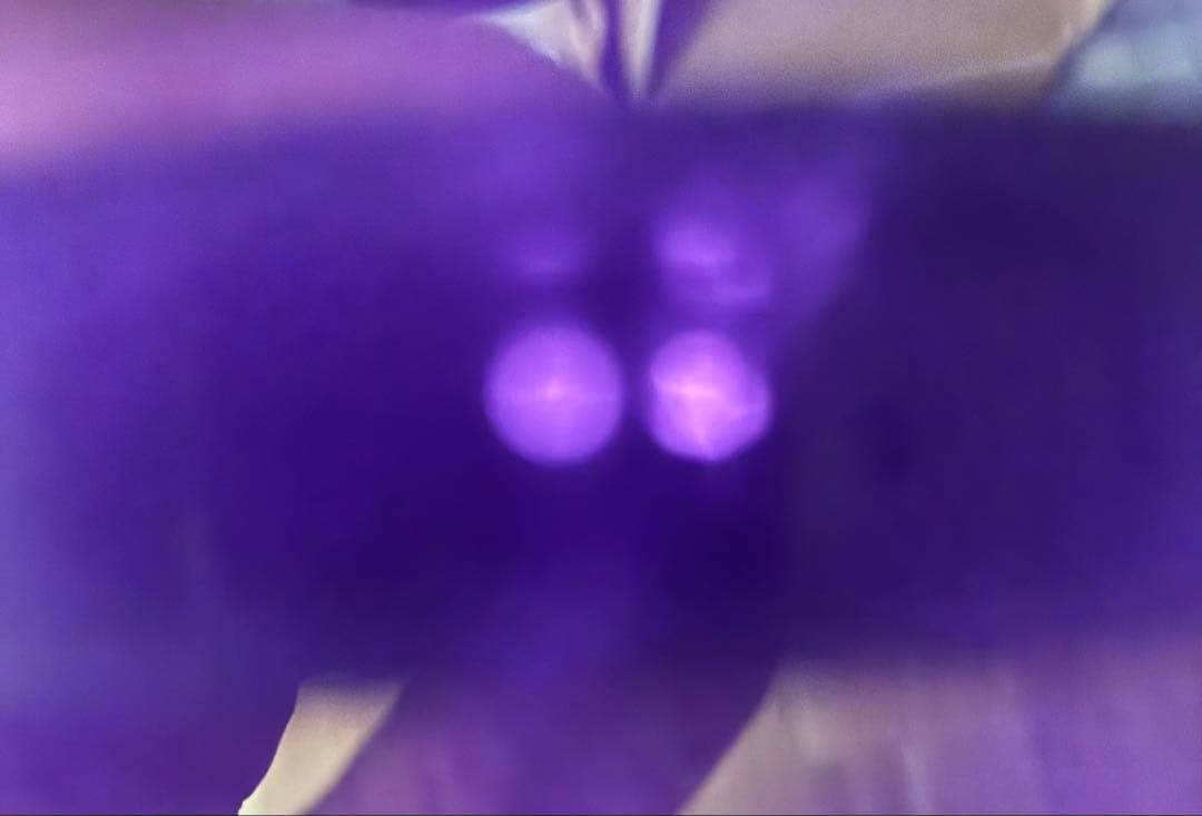 美品　SONY DCR-VX1000 デジタルビデオカメラ ハンディカム ソニー