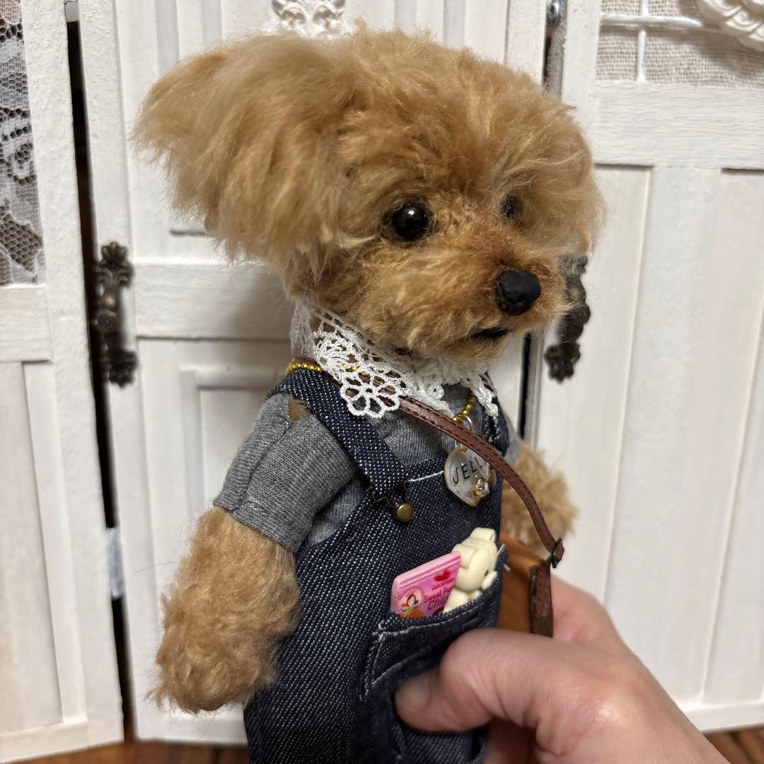 トイプードルお人形　くるり