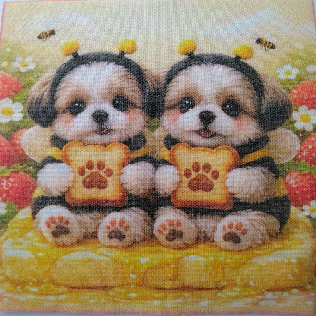 ☆受付☆シーズー