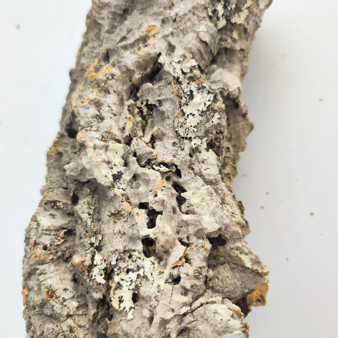 c7009　お買得品 洗浄済 ポルトガル産 キャノンコルク バージンコルク