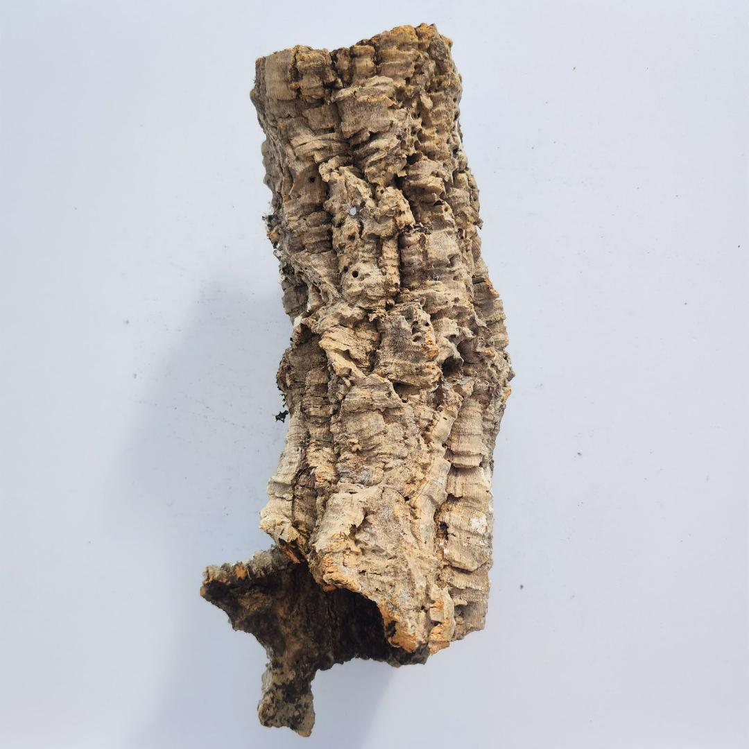 c7009　お買得品 洗浄済 ポルトガル産 キャノンコルク バージンコルク