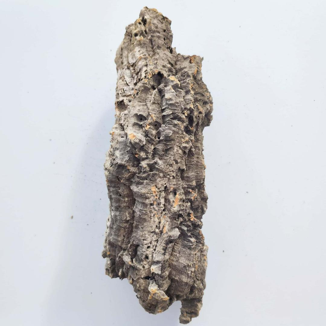 c7009　お買得品 洗浄済 ポルトガル産 キャノンコルク バージンコルク