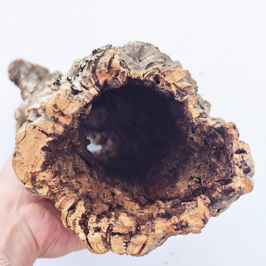 c7009　お買得品 洗浄済 ポルトガル産 キャノンコルク バージンコルク