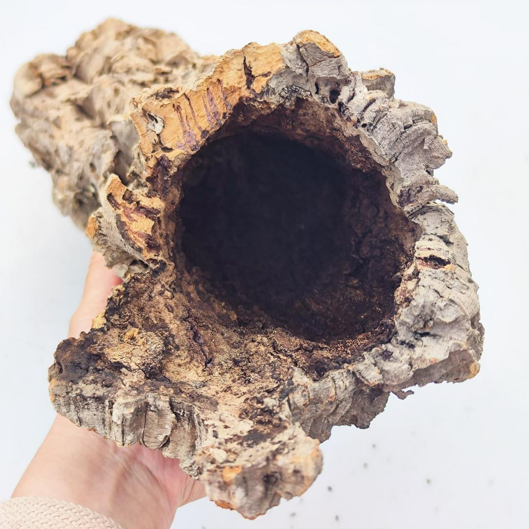 c7009　お買得品 洗浄済 ポルトガル産 キャノンコルク バージンコルク