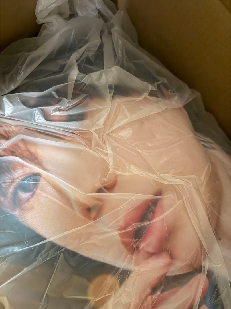 WHITEJAM SHIROSE 裏表リバーシブル抱きまくら