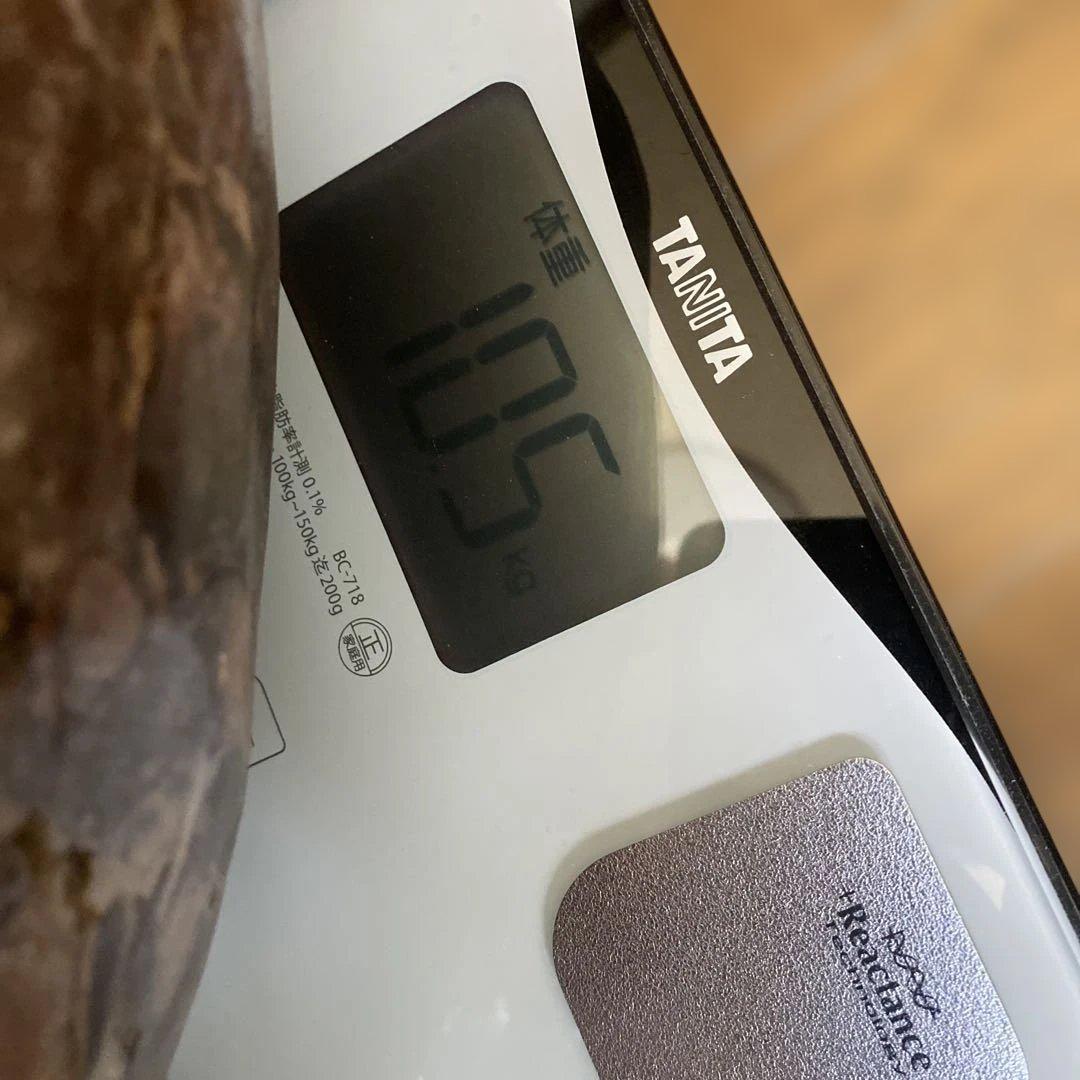 石の置物　骨董品 中国 寿山石 大きなサイズ 非常に重い 10.5kg