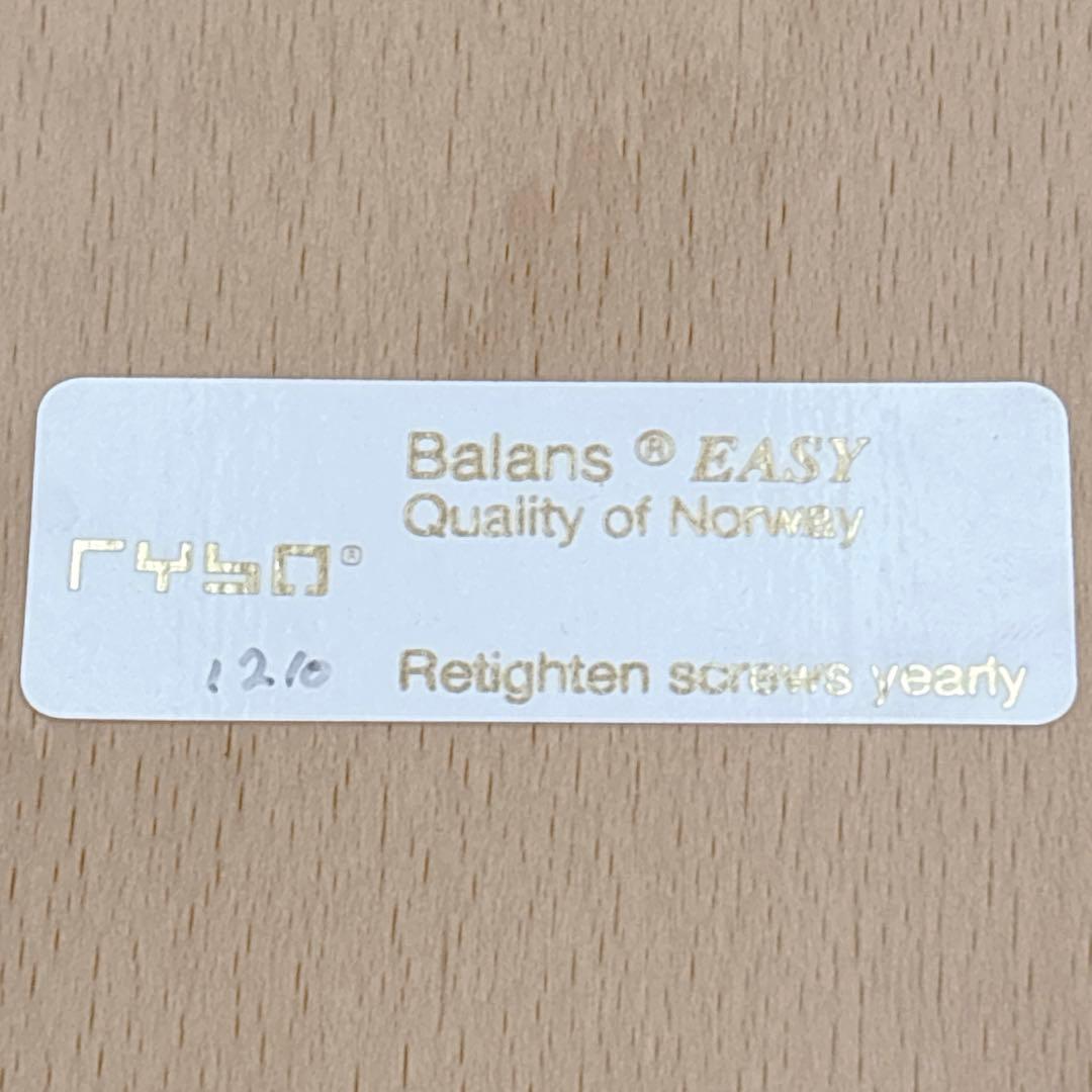 美品✨リボ バランスイージー レッド 取扱説明書付 工具付 姿勢矯正チェア 赤