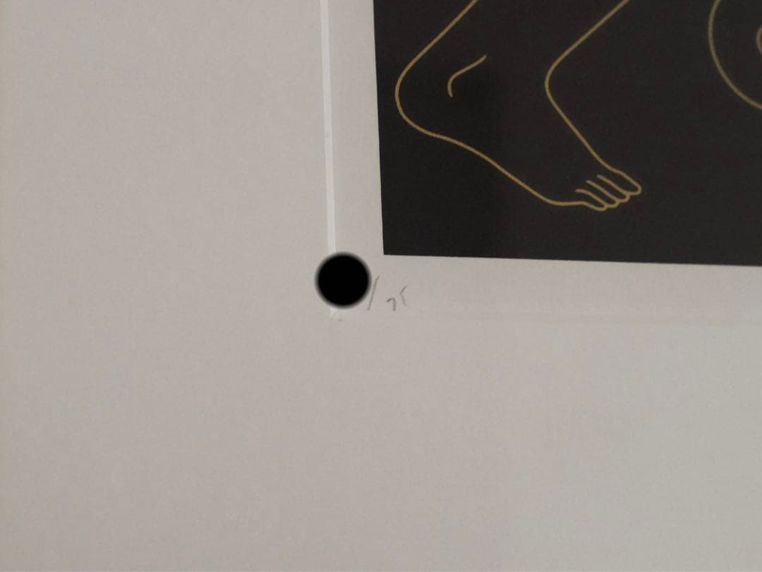 Cleon Peterson 大判シルクスクリーン 作品