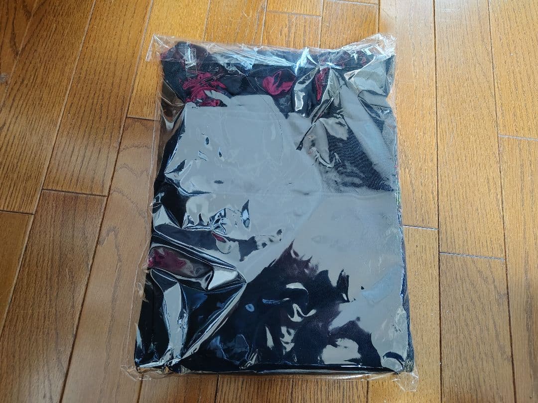 HI-STANDARD HONGOLIAN HOODIE　新品未開封Mサイズ