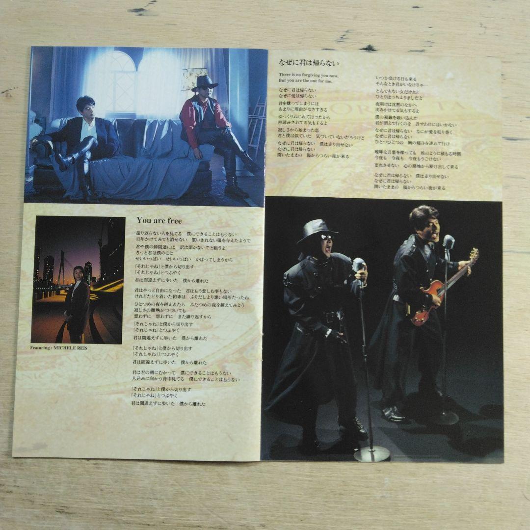 CHAGE&ASKA　RED HILL　VHS