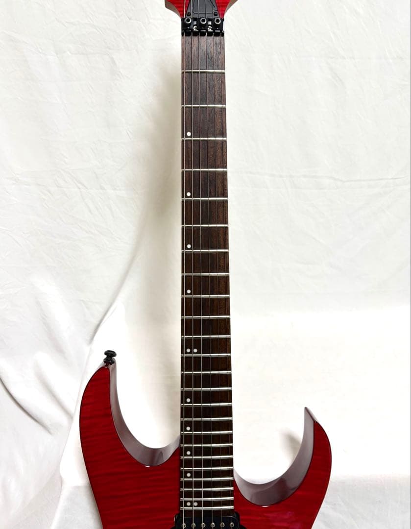 【新品弦張替済】Ibanez エレキギター SRG420FMZ