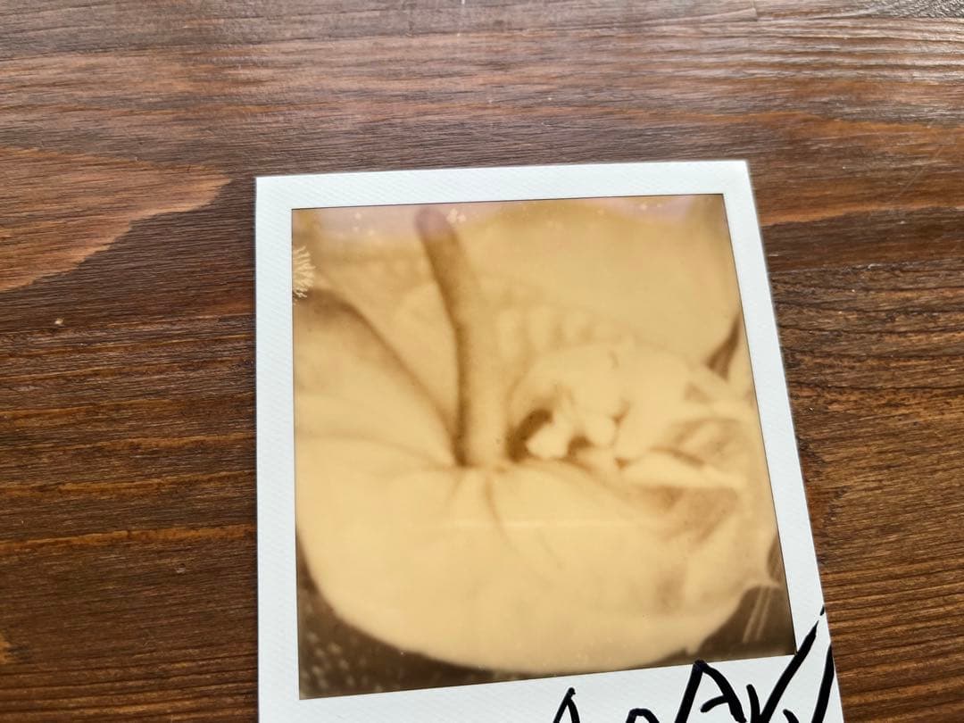 荒木経惟のポラロイド作品 1点。サイン入り、額装付き。