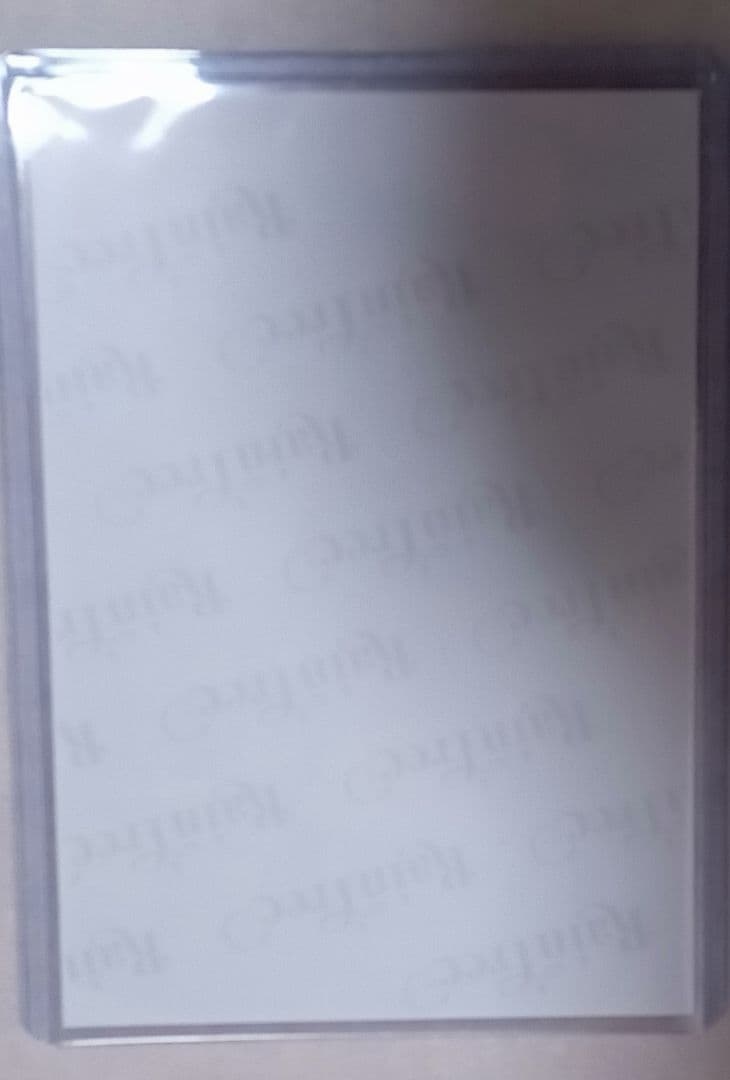 レインツリー綾瀬ことり直筆 サンタ衣装