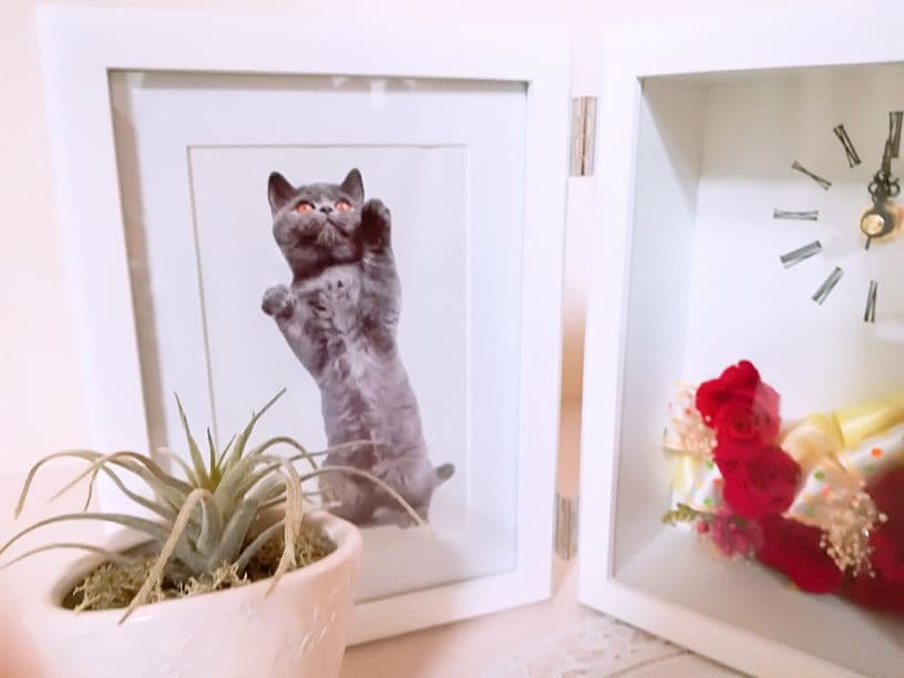 【母の日などのプレゼントに】写真立て