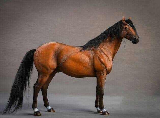 ドイツハノーバー1：12温血シミュレーション駿馬精巧な家財道具7