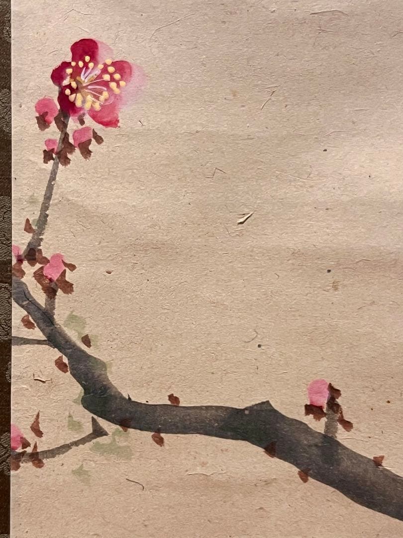 三尾呉石 掛軸 掛け軸「紅梅鶯図」肉筆 大橋翠石師事 日本画 絵画 春 ウグイス