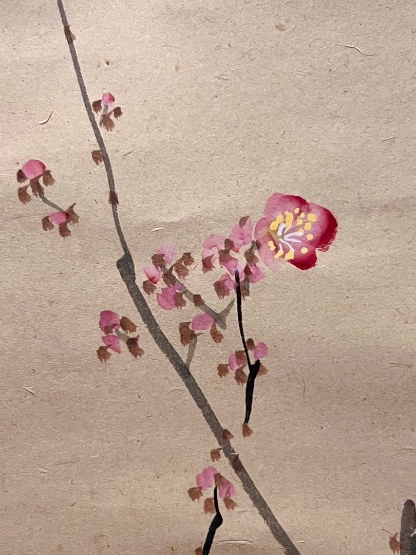 三尾呉石 掛軸 掛け軸「紅梅鶯図」肉筆 大橋翠石師事 日本画 絵画 春 ウグイス