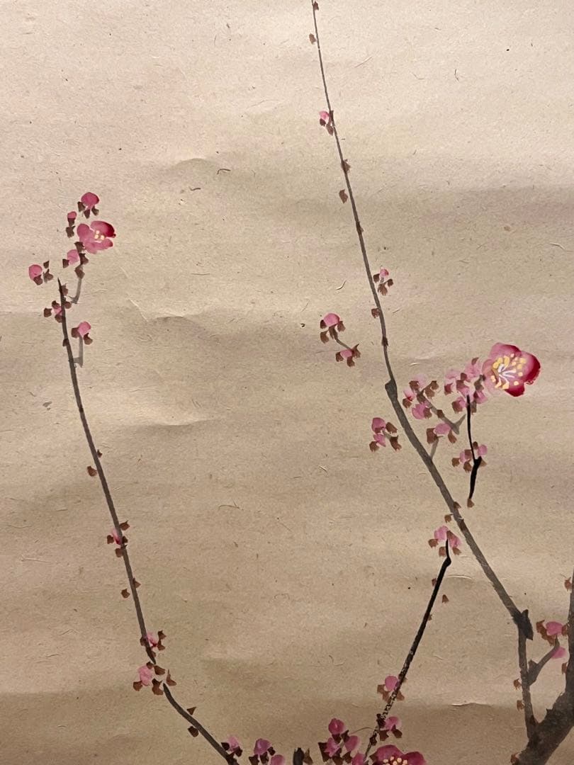 三尾呉石 掛軸 掛け軸「紅梅鶯図」肉筆 大橋翠石師事 日本画 絵画 春 ウグイス