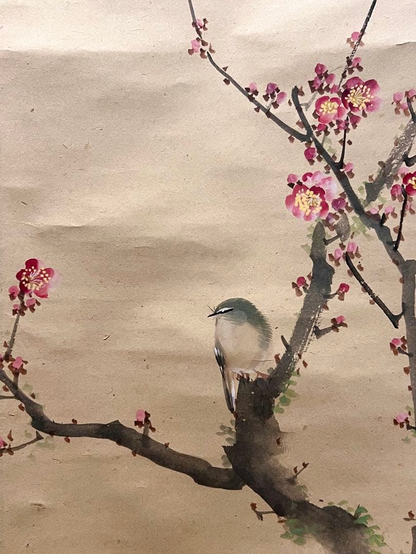 三尾呉石 掛軸 掛け軸「紅梅鶯図」肉筆 大橋翠石師事 日本画 絵画 春 ウグイス