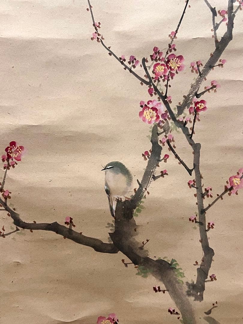 三尾呉石 掛軸 掛け軸「紅梅鶯図」肉筆 大橋翠石師事 日本画 絵画 春 ウグイス