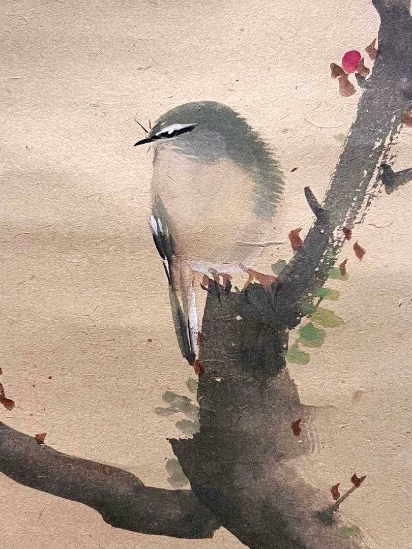 三尾呉石 掛軸 掛け軸「紅梅鶯図」肉筆 大橋翠石師事 日本画 絵画 春 ウグイス