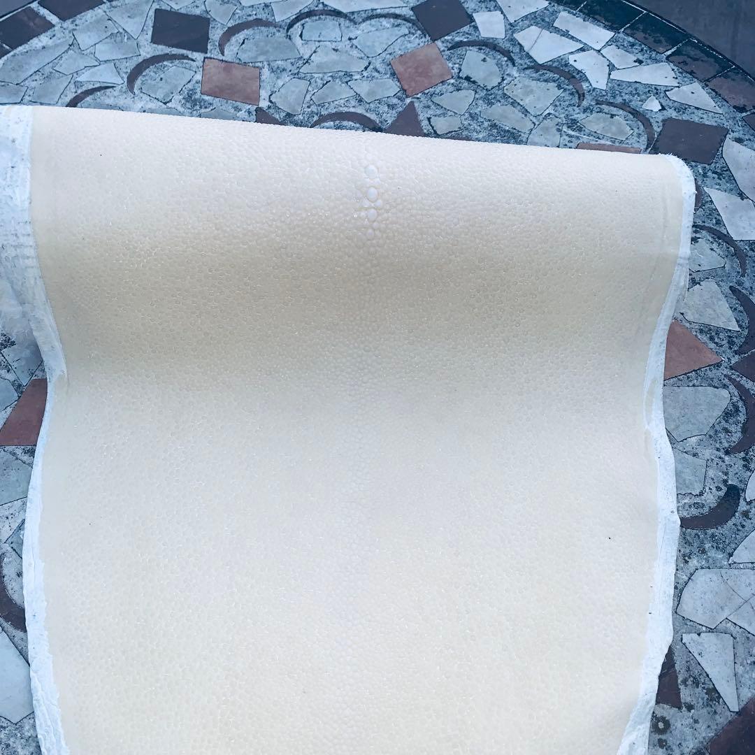 15) SA エイ革 鮫革 鮫皮 stingray ガルーシャ スティングレイ