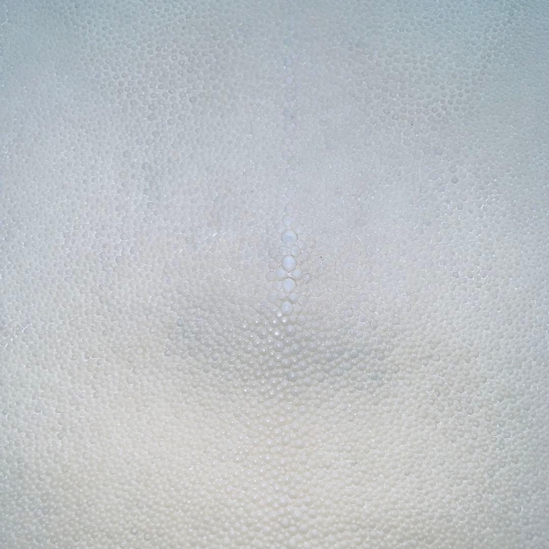 15) SA エイ革 鮫革 鮫皮 stingray ガルーシャ スティングレイ