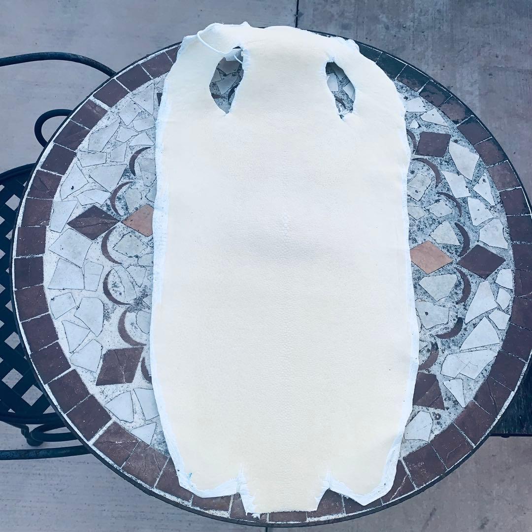 15) SA エイ革 鮫革 鮫皮 stingray ガルーシャ スティングレイ