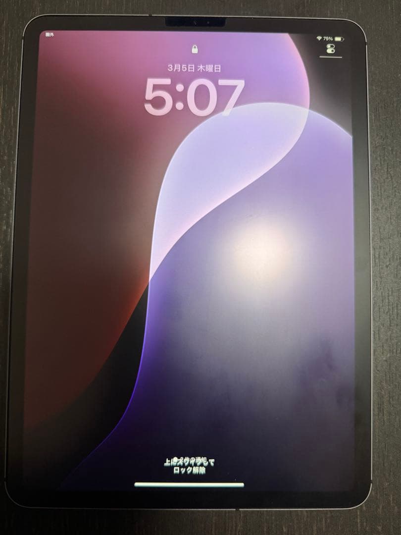 iPad Pro11 第1世代 Cellular 1024GB スペースグレイ