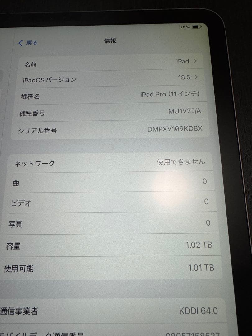 iPad Pro11 第1世代 Cellular 1024GB スペースグレイ
