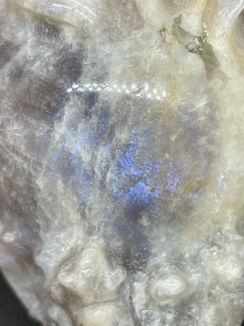 サンムーンストーン　ロングイ　龍亀　彫刻