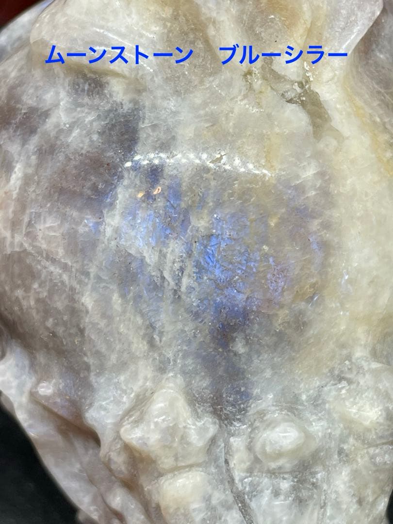 サンムーンストーン　ロングイ　龍亀　彫刻