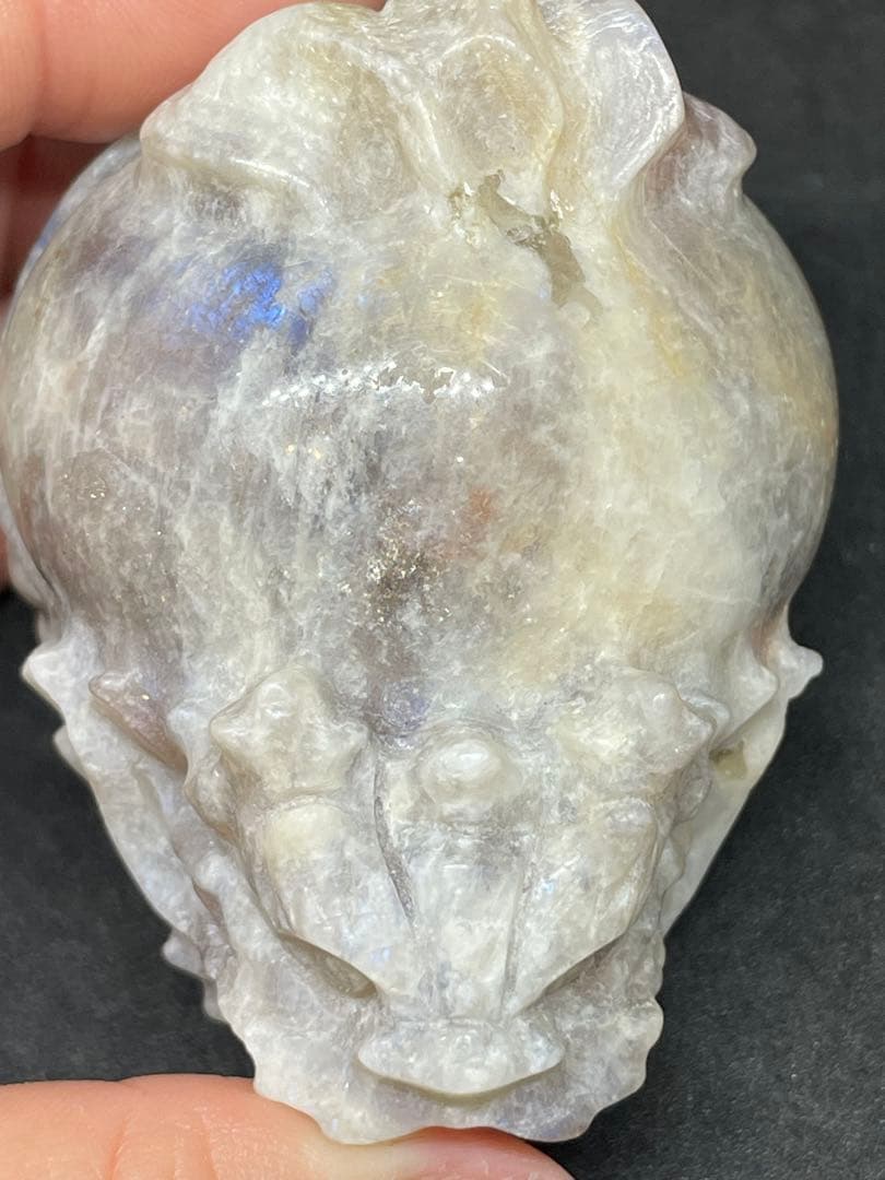 サンムーンストーン　ロングイ　龍亀　彫刻