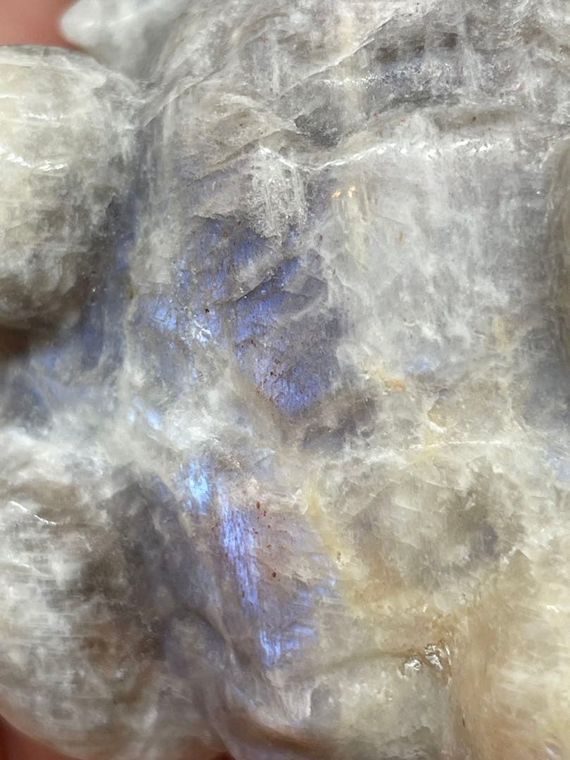 サンムーンストーン　ロングイ　龍亀　彫刻