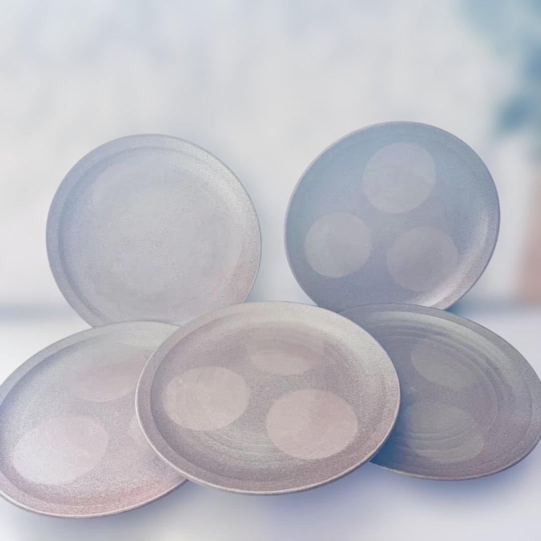 新品 信楽焼 中皿 21cm 5枚セット 陶印有 陶器 日本製 和食器 プレート