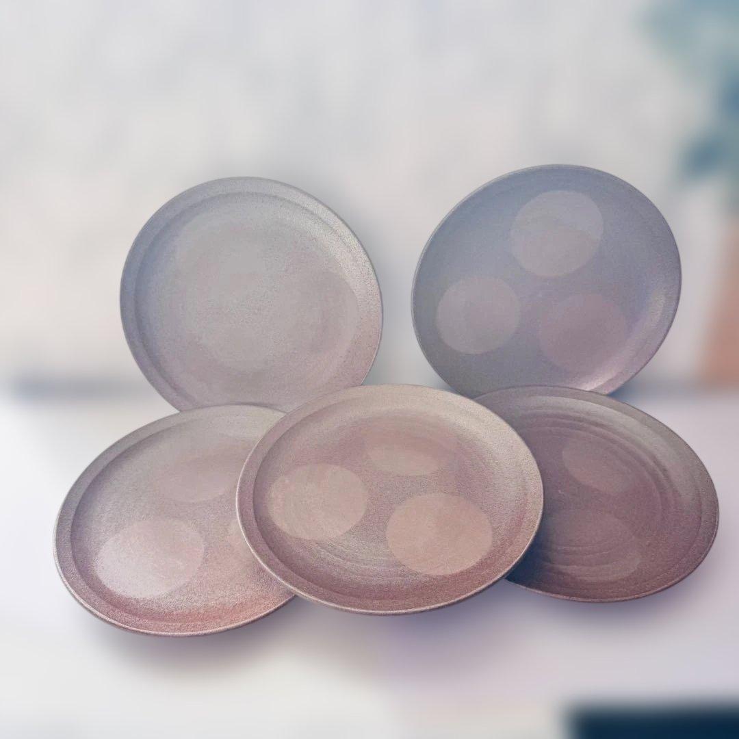 新品 信楽焼 中皿 21cm 5枚セット 陶印有 陶器 日本製 和食器 プレート