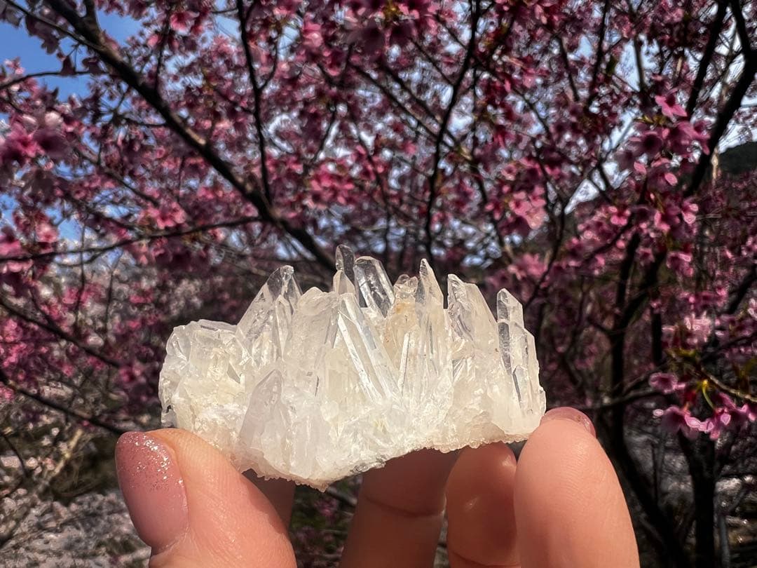 土地を浄化し家主を開運へと導く☆開運地鎮水晶☆占い鑑定付き☆