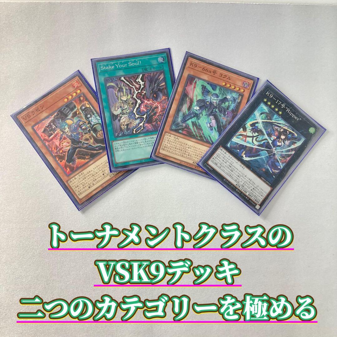 本格構築【VSK9】デッキ＆2重スリーブ