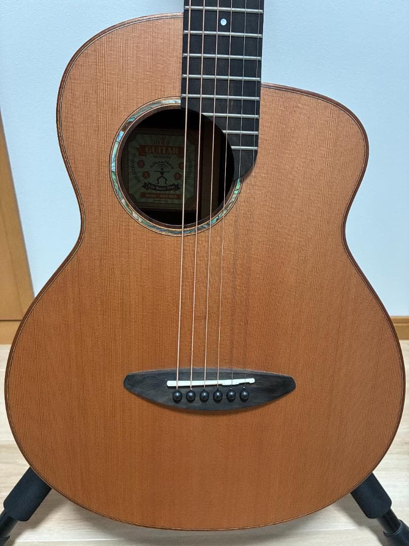 ギター aNueNue aNN-M60 Solid Ceder / Mahogany