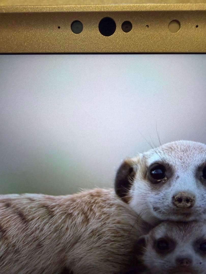 激安　美品　パナソニック　レッツノート　Windows11　シルバー