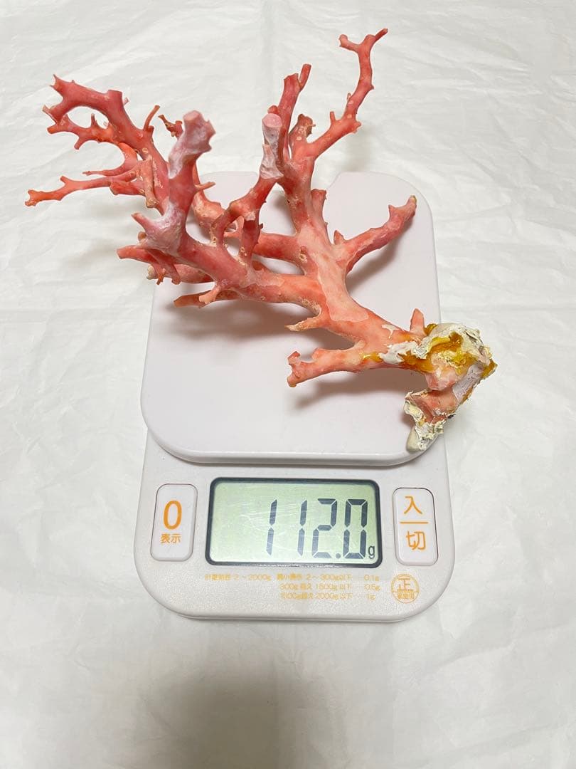 珊瑚サンゴ、ピンク珊瑚原木の置物