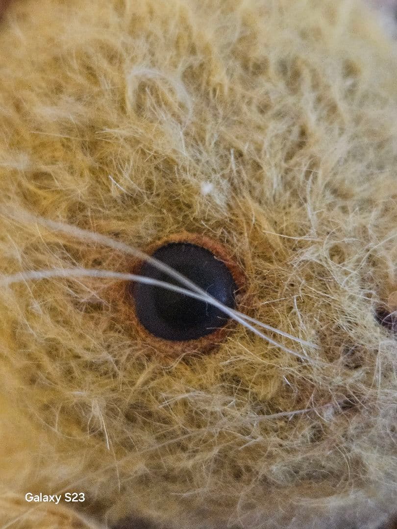 国内人気作家、エブリンローズ様、最終価格