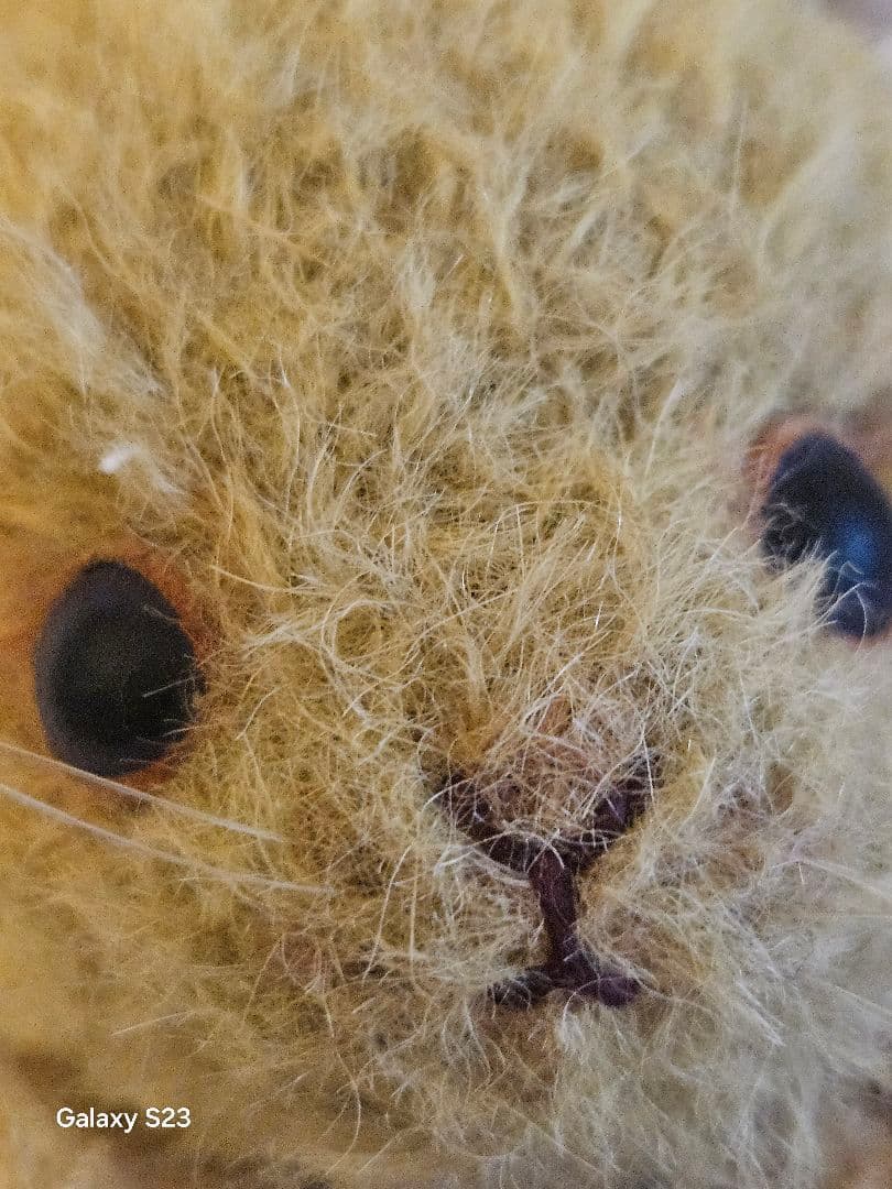 国内人気作家、エブリンローズ様、最終価格