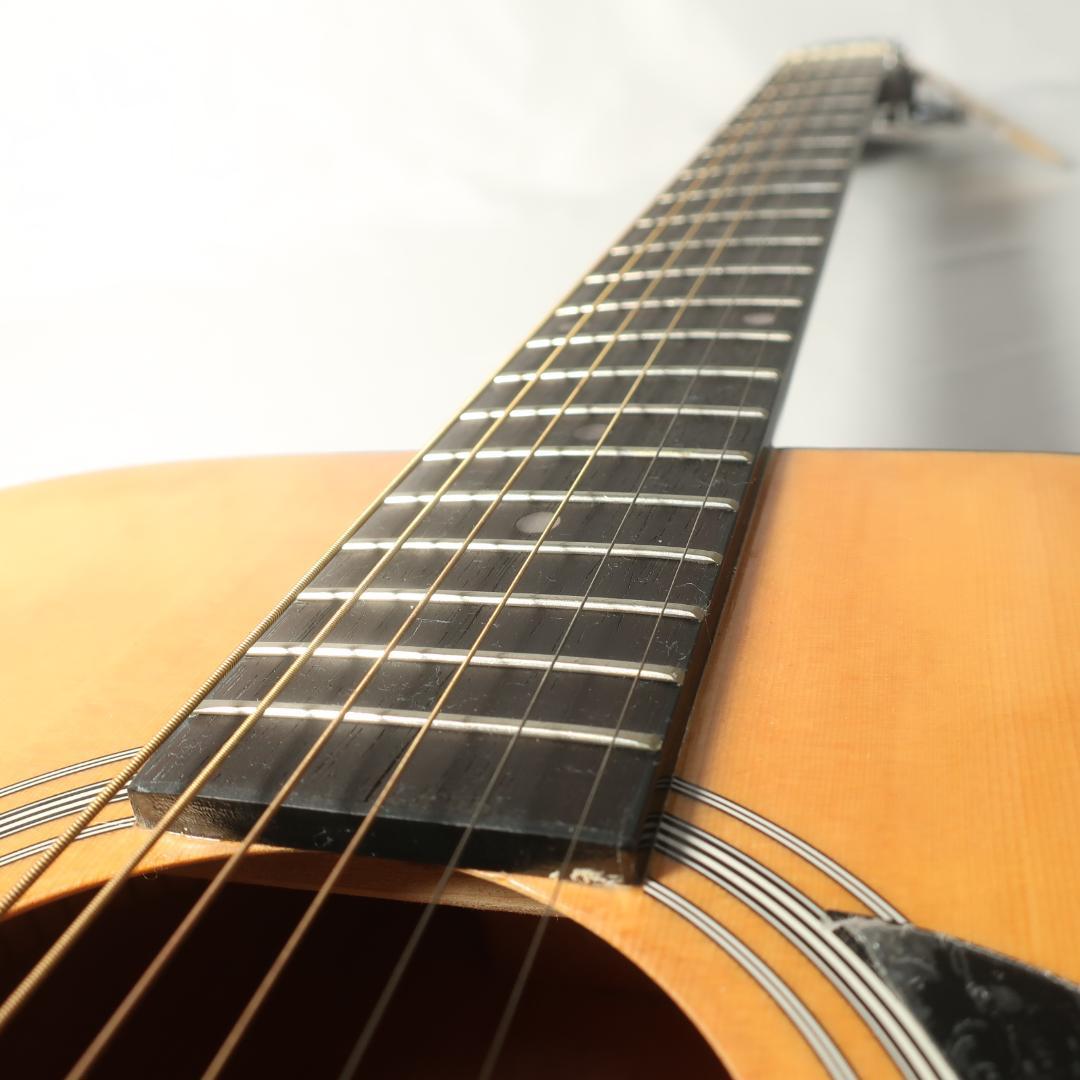Lumber LFG10 NA アコースティックギター 純正ケース付